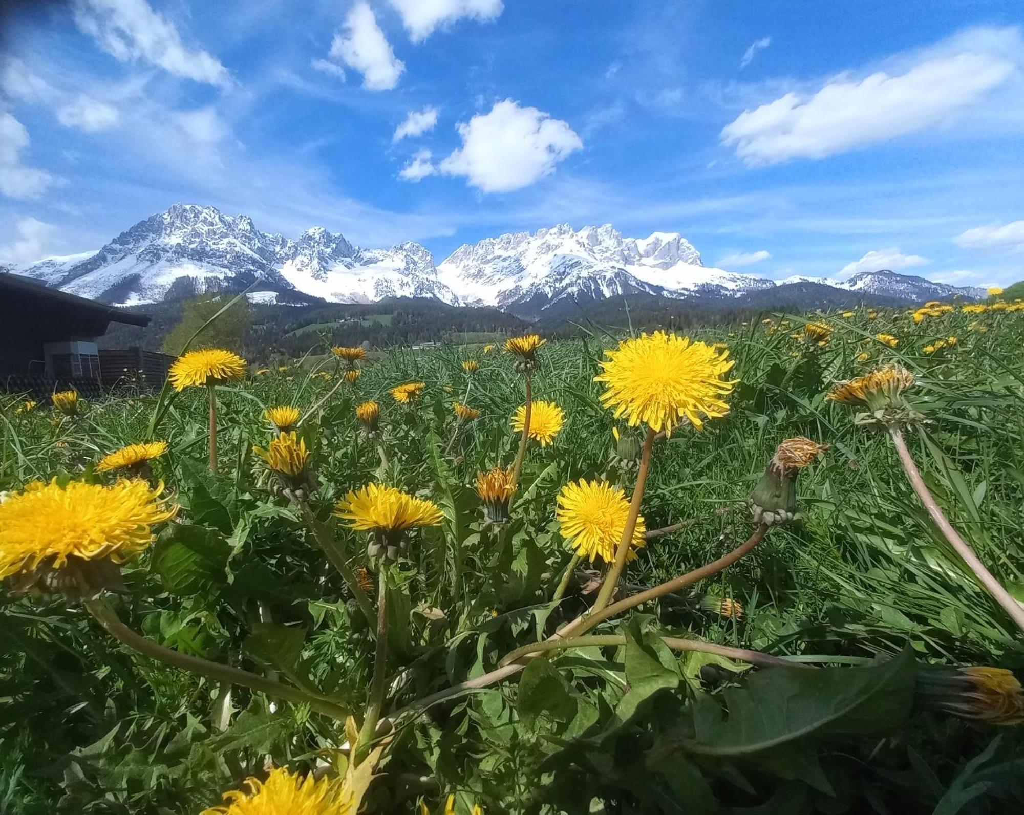 Lara Scheffau am Wilden Kaiser