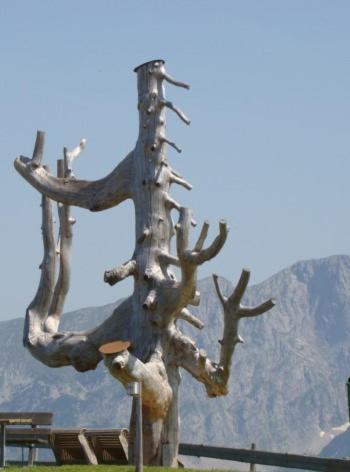 Lara Apartment Scheffau am Wilden Kaiser